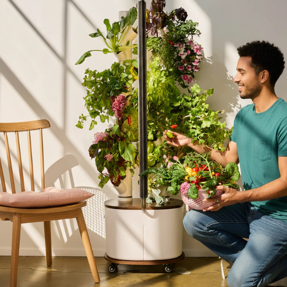 Untitled design.png__PID:7d631fa2-6121-4299-93cb-fe0e2b0b6d5d