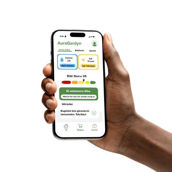 mobileapp.png__PID:68672950-9c28-4882-80c2-a2a3c8e18953