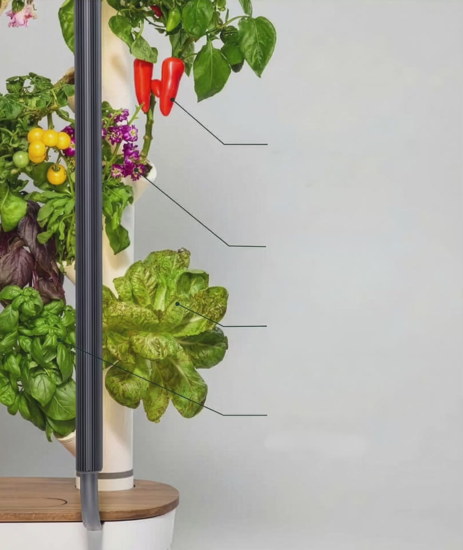 0203(3).mp4__PID:5fcc0254-d624-4887-8d4b-42b4b21b802e