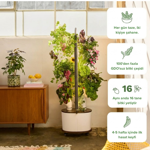 AuraGardyn Studio - Akıllı Hidroponik Bahçe