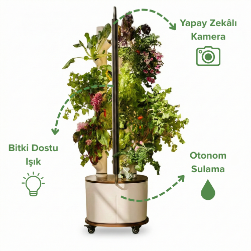 AuraGardyn Studio - Akıllı Hidroponik Bahçe